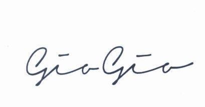 Công ty cổ phần tập đoàn Giovanni的GioGio 品牌, 申请号 4-2019-07681