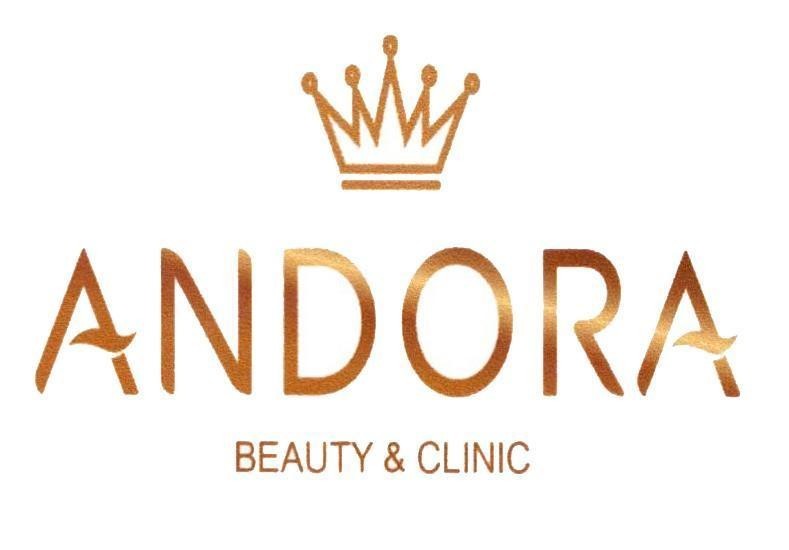 Hộ kinh doanh ANDORA的ANDORA BEAUTY & CLINIC 品牌, 申请号 4-2019-17139