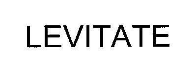 Trademark LEVITATE  of Brooks Sports, Inc., application No 4-2019-32001