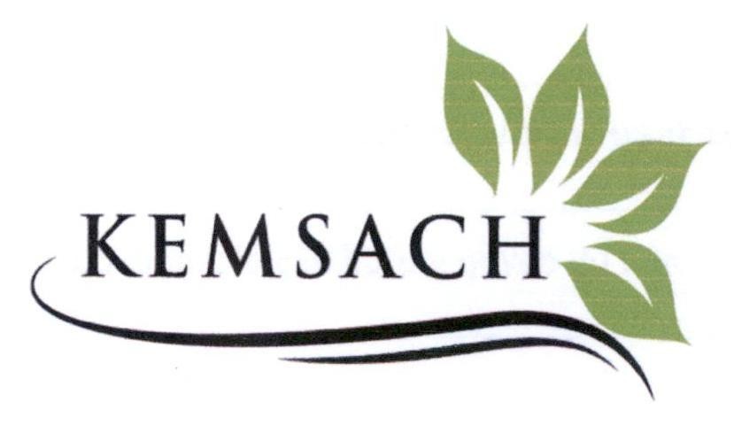 Trademark KEMSACH  of Công ty TNHH một thành viên sản xuất thương mại mỹ phẩm Seven Nine, application No 4-2019-39163