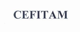 Công ty cổ phần dược phẩm IMEXPHARM的CEFITAM 品牌, 申请号 4-2019-39988