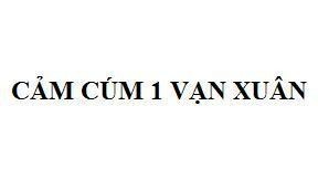 Nhãn hiệu Cảm Cúm 1 Vạn Xuân  của Công ty TNHH Vạn Xuân, số đơn 4-2019-47844
