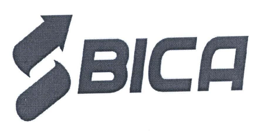 BICA 