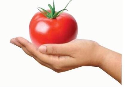 Nhãn hiệu   của Công ty TNHH tập đoàn An Nông, số đơn 4-2019-50445