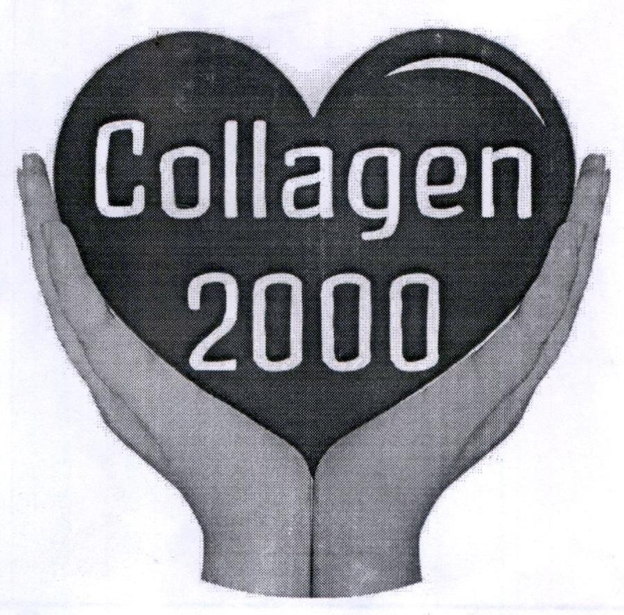 Collagen 2000 