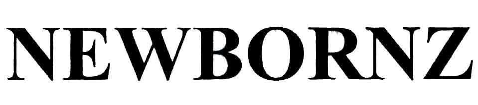 Trademark NEWBORNZ  of Công ty cổ phần thương mại ALTACO, application No 4-2020-13660