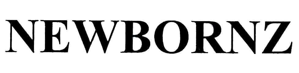 Trademark NEWBORNZ  of Công ty cổ phần thương mại ALTACO, application No 4-2020-13661