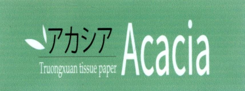 Acacia Truongxuan tissue paper [akashia: Cây keo] 