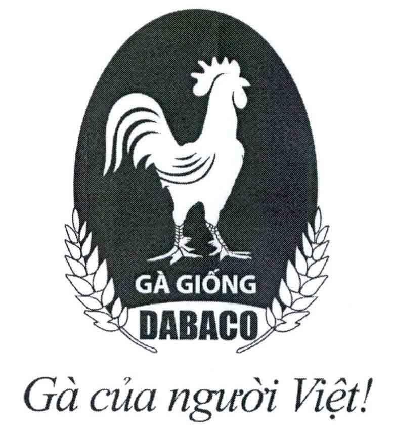 Gà Giống DABACO Gà của người Việt! 