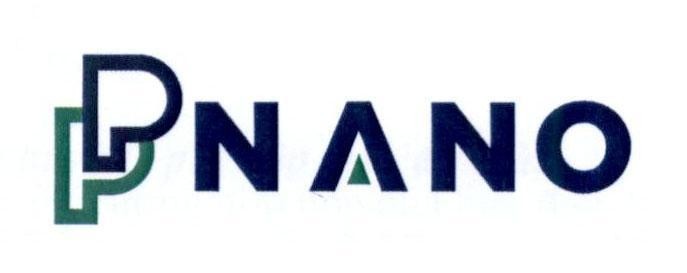 P P NANO 