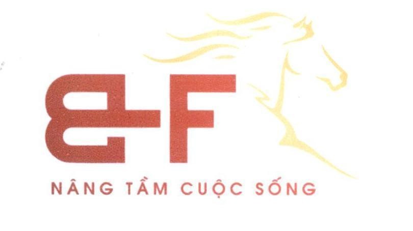 BF Nâng Tầm Cuộc Sống 