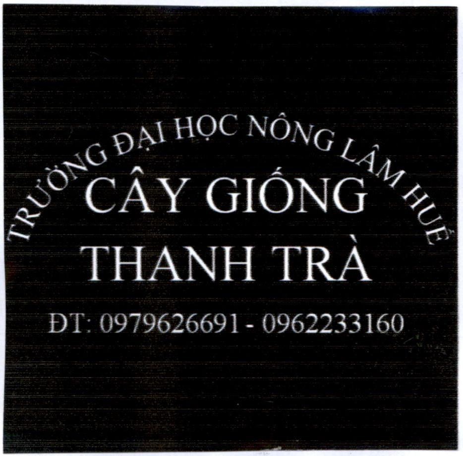 Nhãn hiệu Trường Đại Học Nông Lâm Huế Cây Giống Thanh Trà ĐT: 0979626691 - 0962233160  của Trường Đại học Nông Lâm, Đại học Huế, số đơn 4-2020-32191