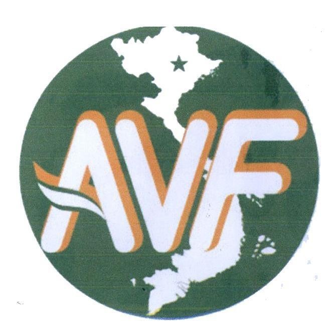 AVF 