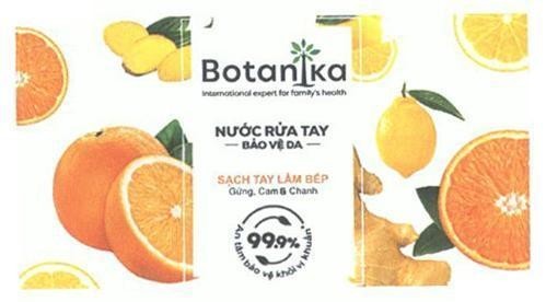 Nhãn hiệu Botanika International expert for family's health Nước Rửa Tay Bảo Vệ Da Sạch Tay Làm Bếp Gừng, Cam & Chanh An tâm bảo vệ khỏi vi khuẩn 99.9%  của Công ty cổ phần Marico South East Asia, số đơn 4-2020-51046