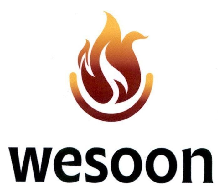 WESOON 