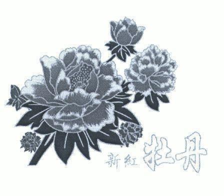[xin hong mudan: hoa mẫu đơn đỏ mới] 