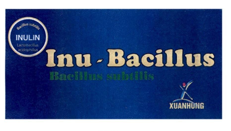 Inu - Bacillus Bacillus subtilis X XUANHUNG INULIN Bacillus subtilis Lactobacillus acidophillus 
