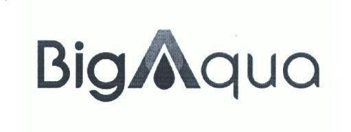 Nhãn hiệu BigAqua  của Công ty cổ phần đầu tư và phát triển năng lượng mặt trời Bách Khoa, số đơn 4-2021-29640