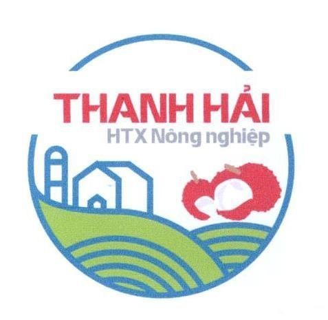 Thanh Hải HTX Nông nghiệp 