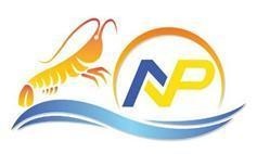 N P 
