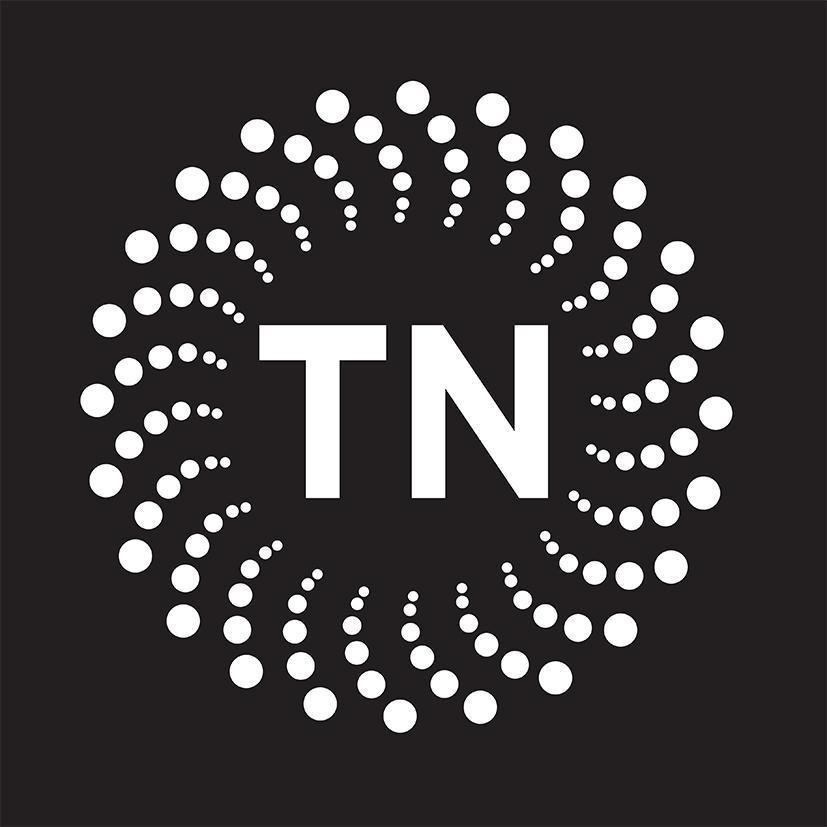 Nhãn hiệu TN  của Công ty TNHH thương mại dịch vụ Nghề Minh Nguyên, số đơn 4-2021-48291