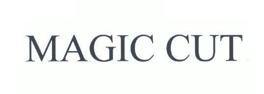 Nhãn hiệu MAGIC CUT  của Công ty cổ phần Acecook Việt Nam, số đơn 4-2021-52040