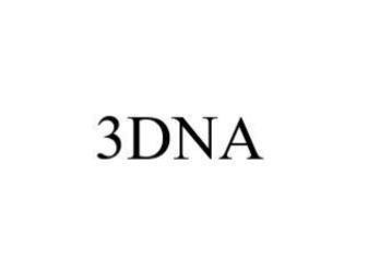 3DNA 
