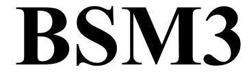 BSM3 