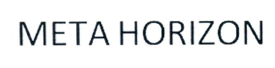META HORIZON 