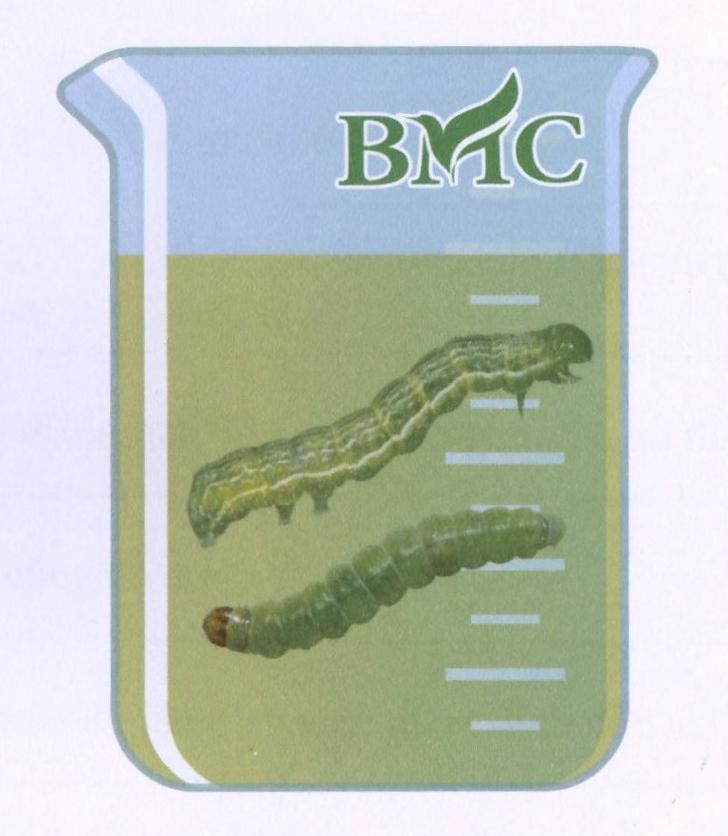 BMC 