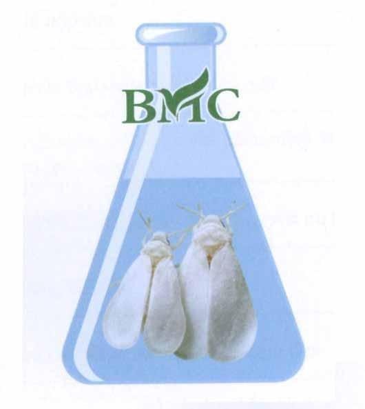 BMC 