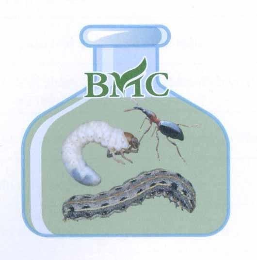 BMC 