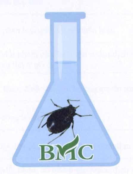 BMC 