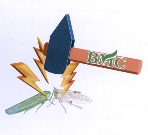 BMC 