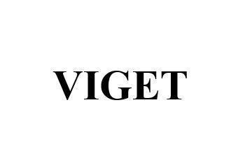 Nhãn hiệu VIGET  của Công ty TNHH Kiên Thành Tín, số đơn 4-2022-18281