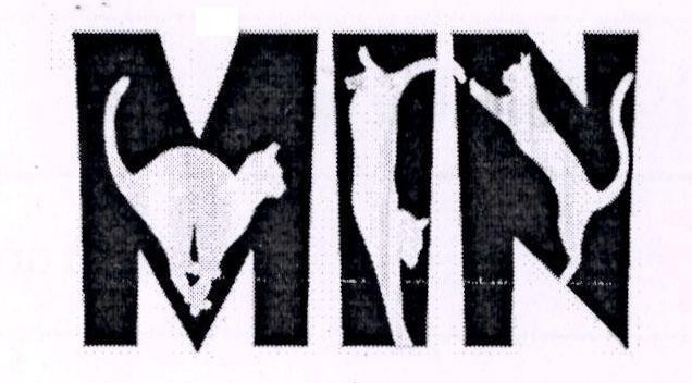 Nhãn hiệu MIN  của Công ty TNHH Ngân Hà Global, số đơn 4-2022-33694