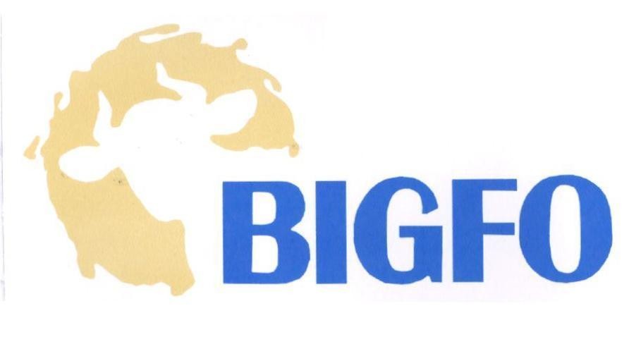 Trademark BIGFO  of Công ty trách nhiệm hữu hạn dược phẩm Anh Thy, application No 4-2022-39964