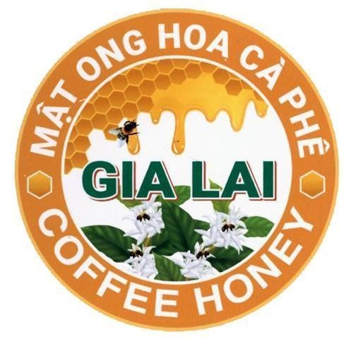 MẬT ONG HOA CÀ PHÊ GIA LAI COFFEE HONEY 
