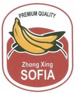 SOFIA Zhong Xing PREMIUM QUALITY 