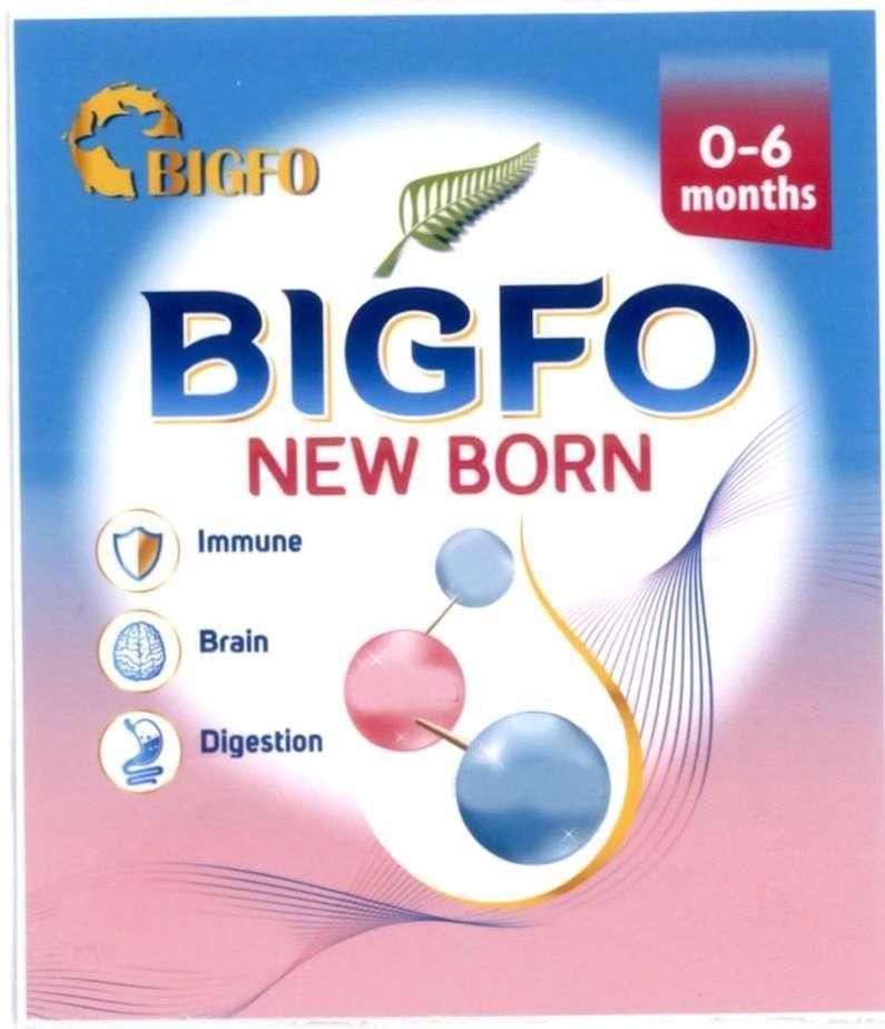 Trademark BIGFO BIGFO NEW BORN Immune Brain Digesstion 0-6 months  of Công ty trách nhiệm hữu hạn dược phẩm Anh Thy, application No 4-2022-50130