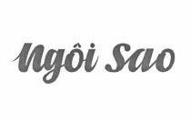 Nhãn hiệu ngôi sao  của Doanh nghiệp tư nhân sản xuất Cọ Sơn Thanh Bình, số đơn 4-2023-07930