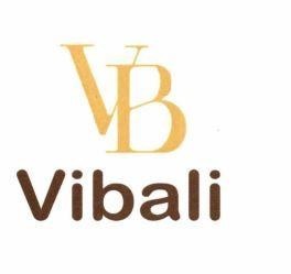 VB Vibali 