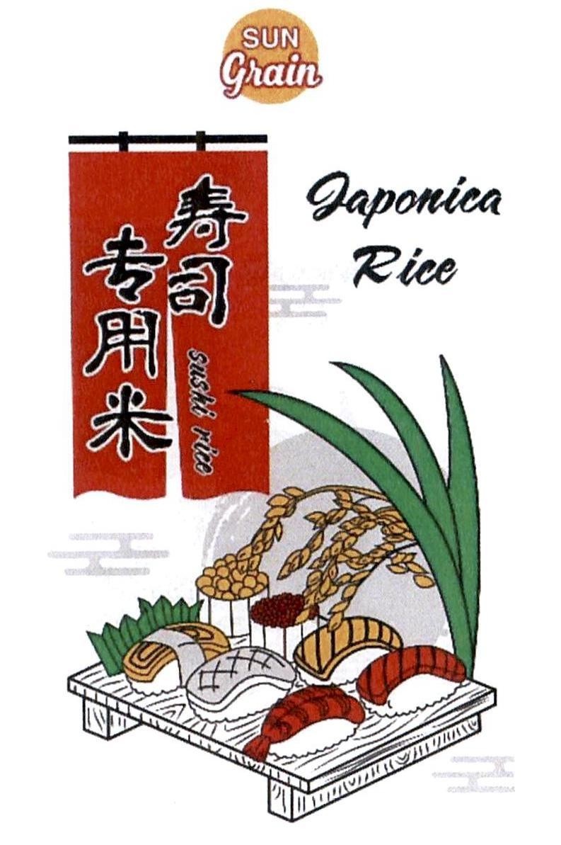 SUN Grain Japonica Rice sushi rice [zhuān mén shòusī mĭ: gạo sushi thượng hạng] 