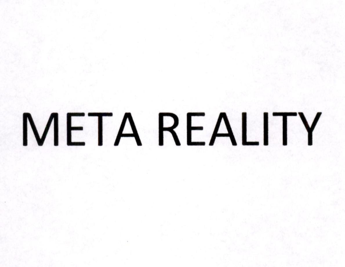 META REALITY