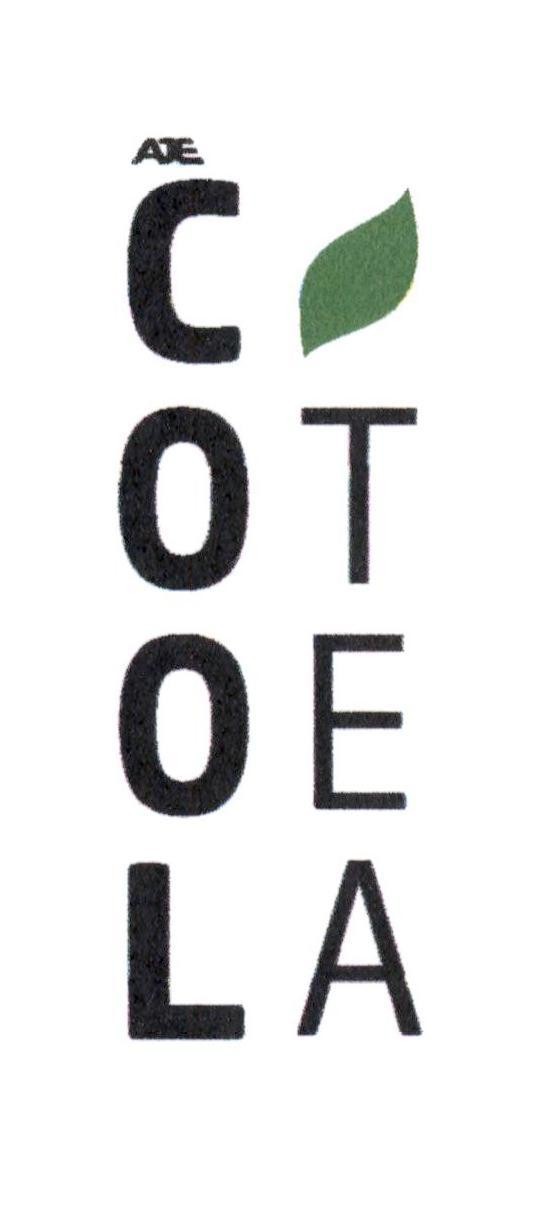 Nhãn hiệu AJE COOL TEA  của TOTO LIMITED, số đơn 4-2023-26270