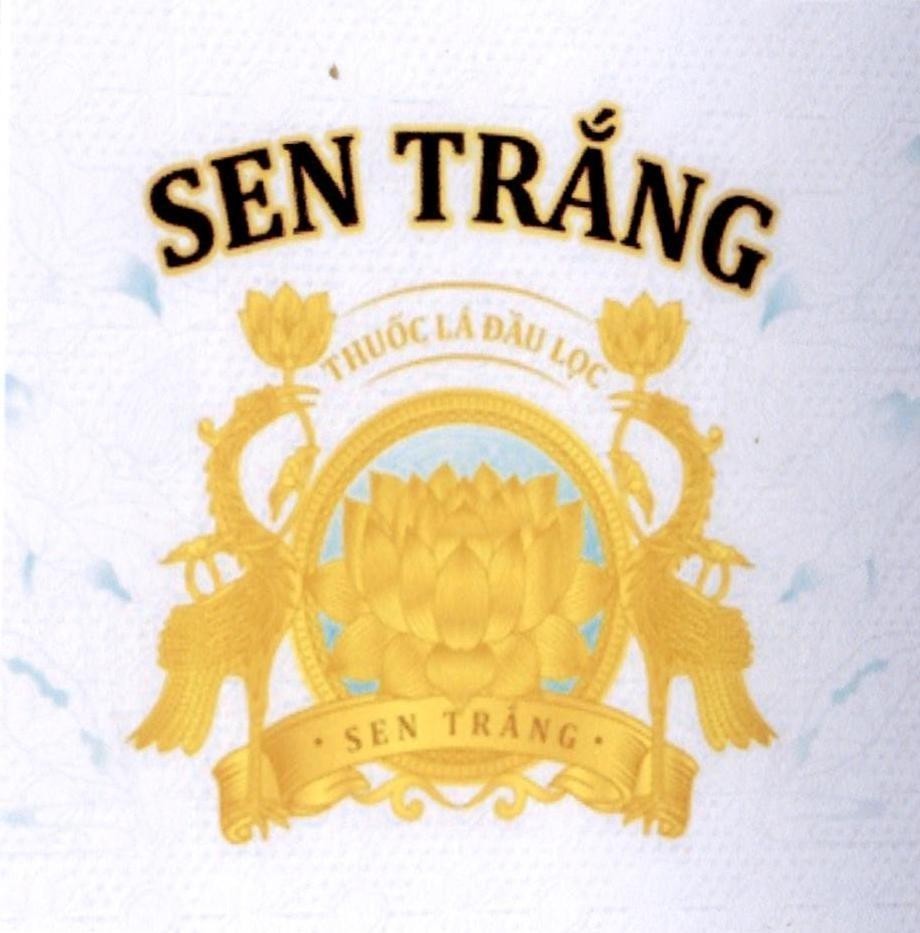 SEN TRẮNG THUỐC LÁ ĐẦU LỌC SEN TRẮNG 