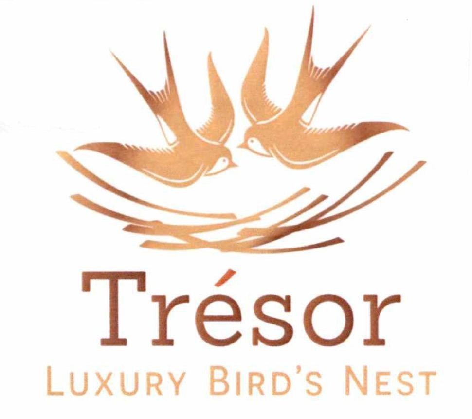 Nhãn hiệu Trésor LUXURY BIRD’S NEST  của CÔNG TY TNHH TẬP ĐOÀN ICON, số đơn 4-2023-47364