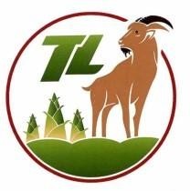 TL 