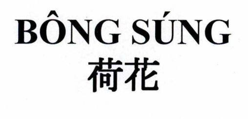 BÔNG SÚNG [hehua: bông súng] 
