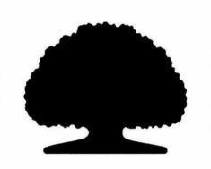 Nhãn hiệu   của CATHAY FINANCIAL HOLDING CO., LTD., số đơn 4-2024-00314